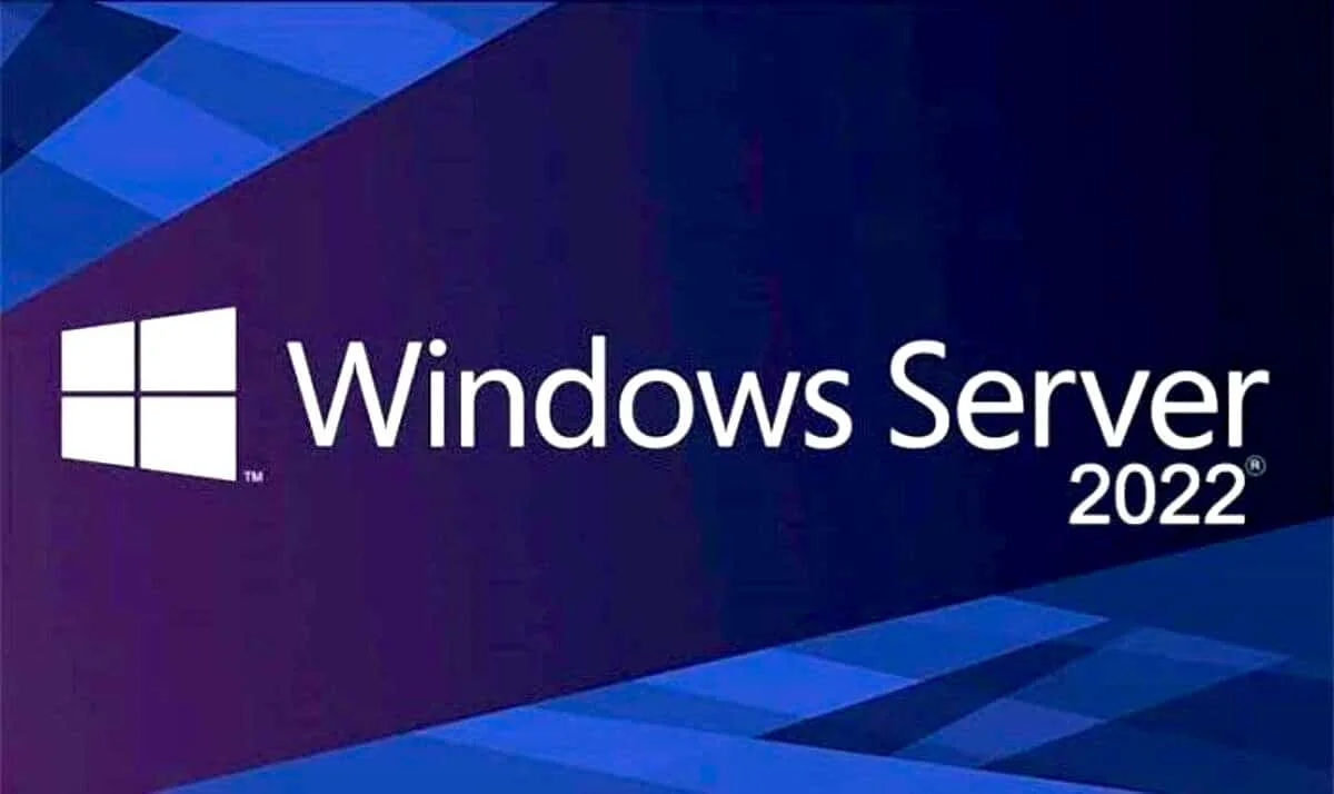LICENCIA MICROSOFT WIN SERVER DAT 2022 64 BIT ESP, vista 3