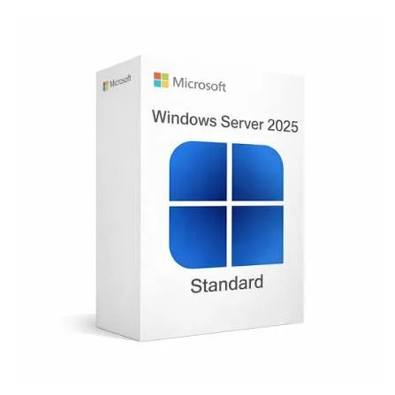 MICROSOFT WIN SERVER STD 19 X64 SERVER 2019 (P73-07788)
